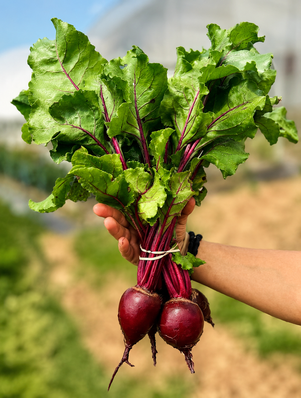 Vegetables