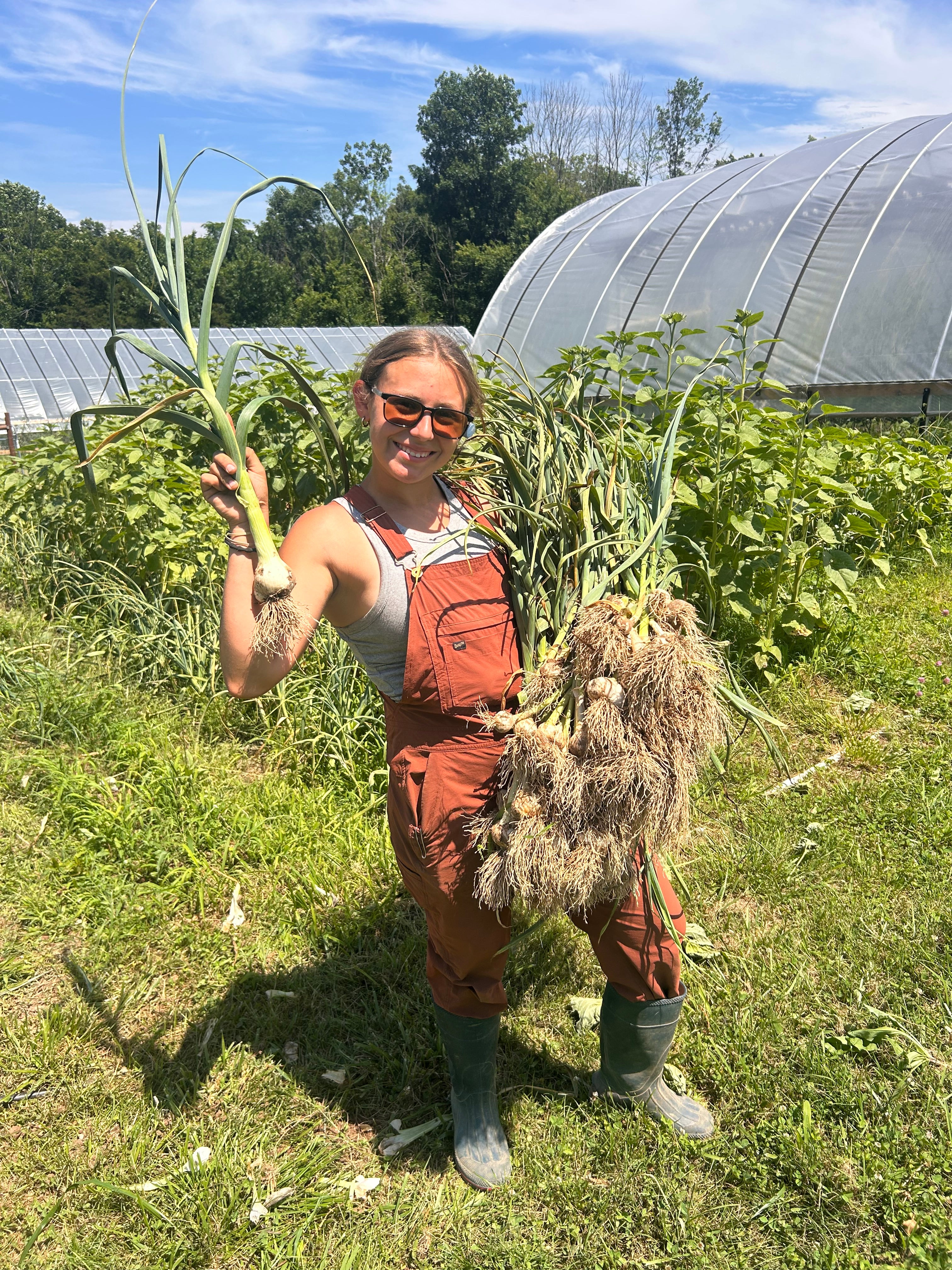 Green garlic