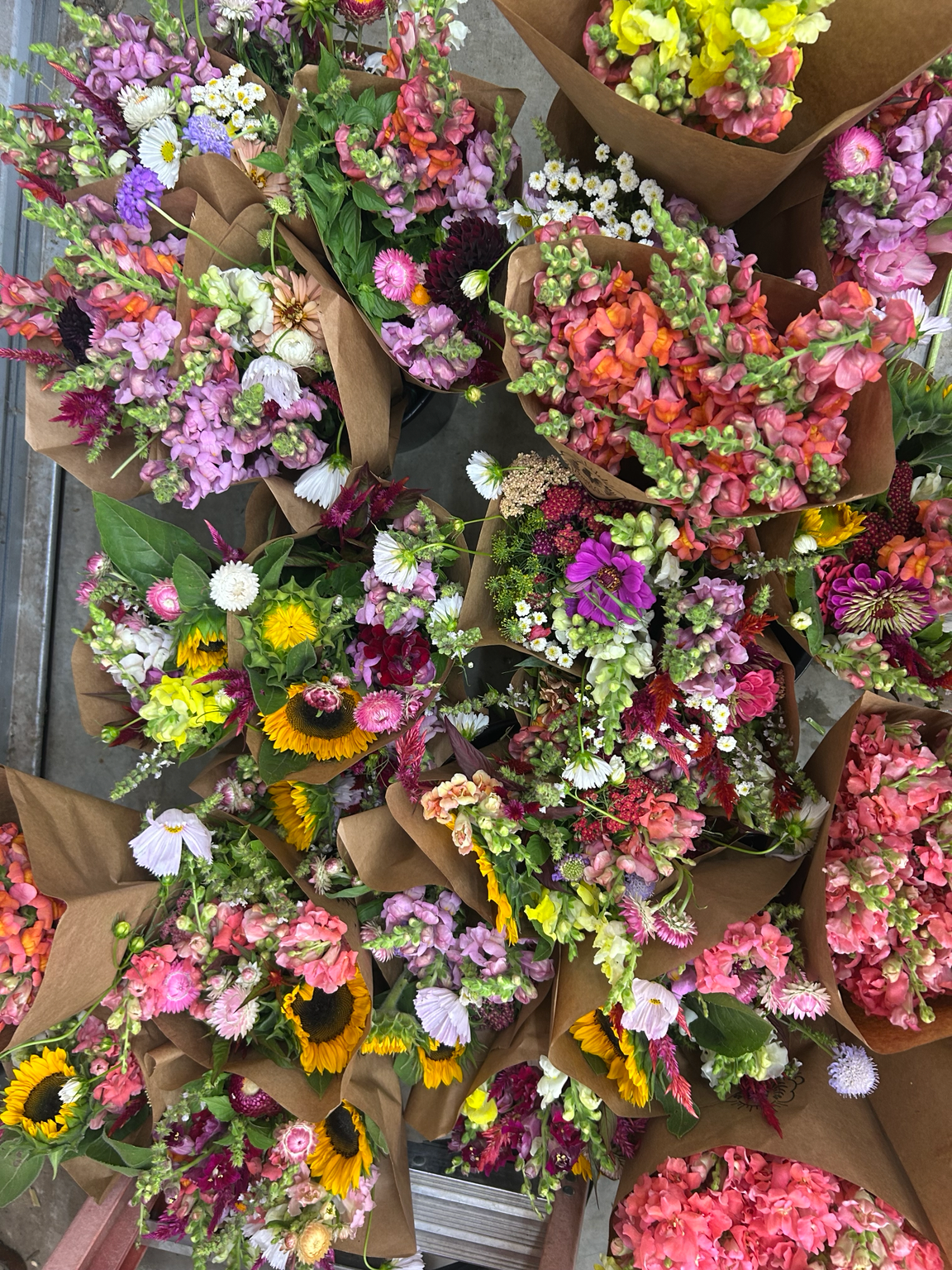 July Bi-Weekly Flower Subscription