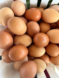 Eggs Pasture Raised