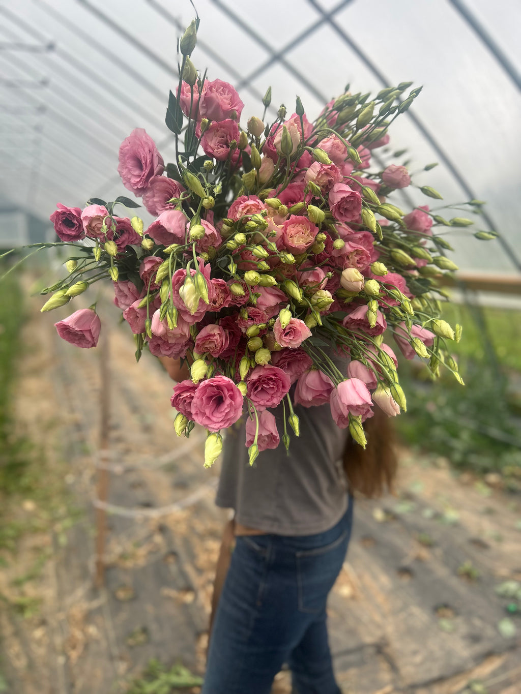 Lisianthus