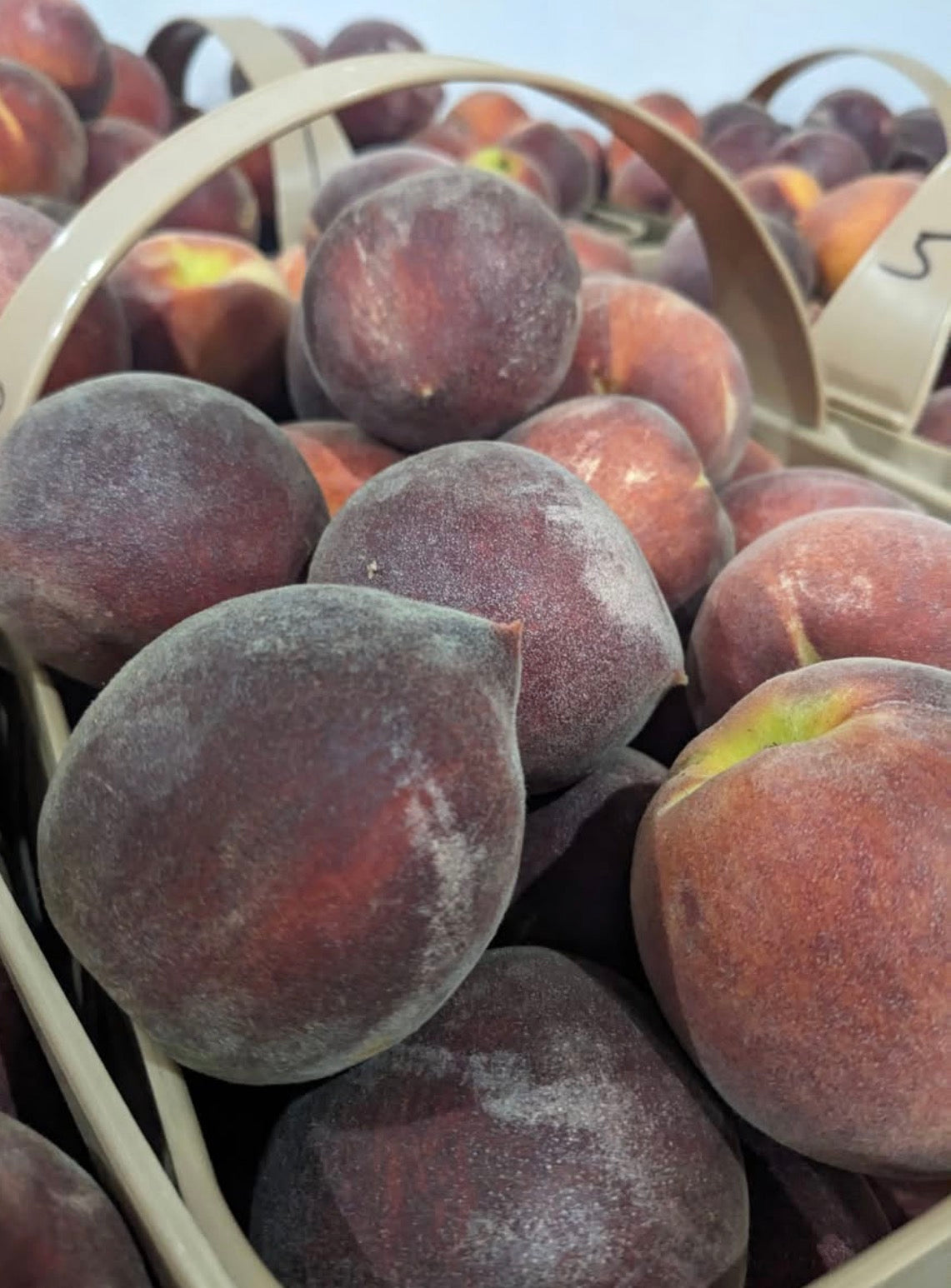 Peaches