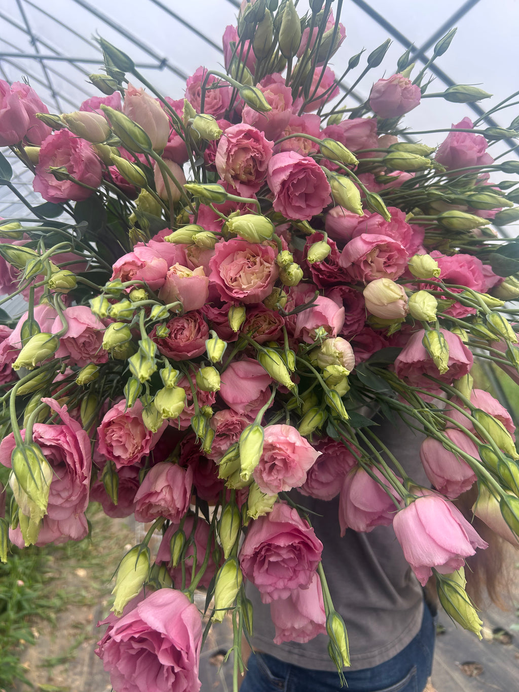 Lisianthus