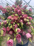 Lisianthus