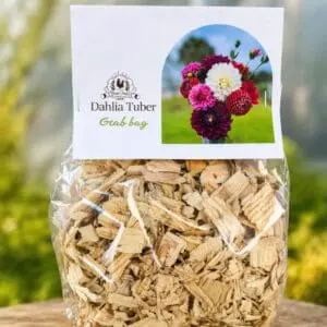 Dahlia grab bag