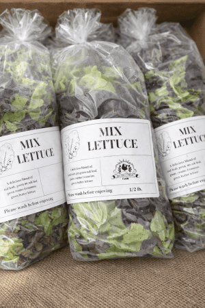 tennessee farm, Tennessee produce, Tennessee farmers market